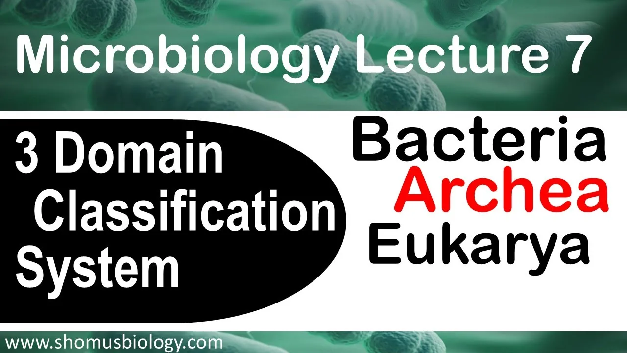 Microbiology lecture 7 | 3 domain classification system | Archea, bacteria and eukarya