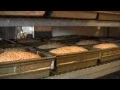 Behind the Scenes Kneading In The Dough at Great Harvest Bread Company