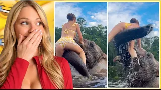 This Elephant Was NOT Having It