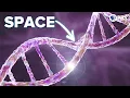 Download Lagu How Did SPACE Shape Your DNA?