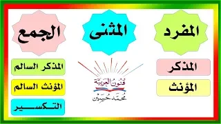 المفرد و المثنى و الجمع بأنواعه المذكر السالم و المؤنث السالم و التكسير سلسلة تعلم الإعراب 4 