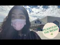 PLANT SHOPPING LOWES WALMART