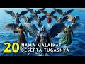 Download Lagu Jarang Dibahas‼️ Inilah 20 Nama Malaikat Yang Gak Wajib Diketahui Memiliki Tugas Yang Unik-Unik