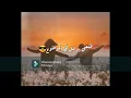 حسين الجسمي -  حاله حته من قلبي (حصرياً) | 2021 | Hussain Al Jassmi - Piece Of My Heart