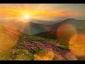 Morning Sunshine - Free Motion Graphics