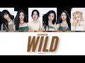 BABYMONSTER — 'WILD' Lyrics (OT6 Ver.) | @strwbrryblueberry 
