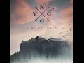 Kygo ft. Sandro Cavazza - Happy Now (PAL/High Tone)