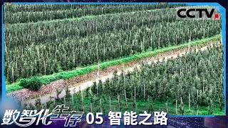 《数智化生存》05 智能之路：把果园变成一个工厂 智慧果园里每棵果树都像一个车间【CCTV纪录】