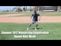 Multi-Directional Movement Training