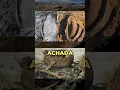 Download Lagu A ARCA DE NOÉ FOI ACHADA