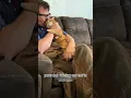 Download Lagu #cat #funny #happycats #catmemes #music #memes #tr#new #reels