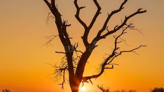 my piano ree morris roccos deep house mix 