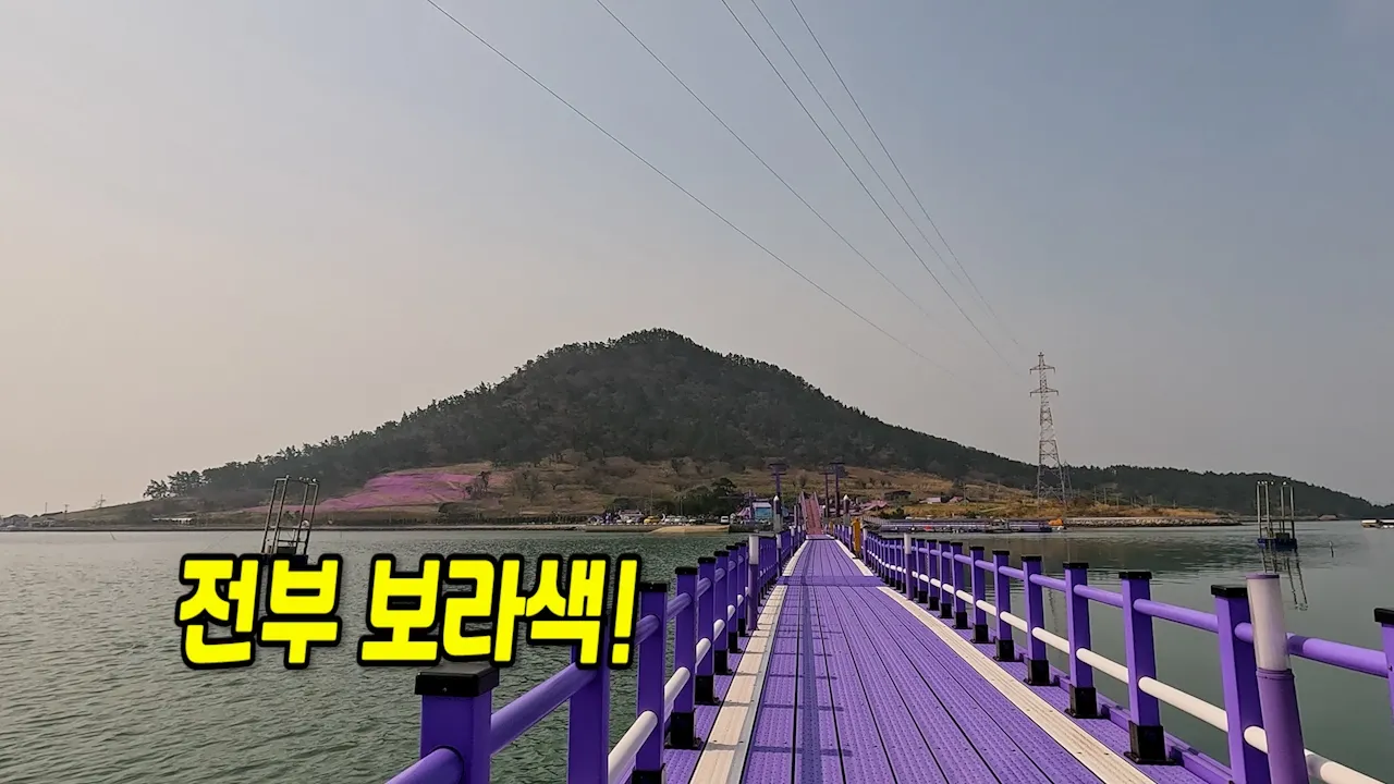 전부 보라색?! 퍼플섬 차박!? 무료 입장 꿀팁 공개! 썸네일