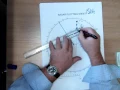 ROR Rule 19 Basic Radar plot