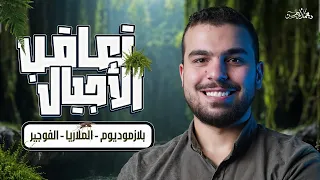 محاضرة تعاقب الأجيال من السنتر ختام الدرس الثانى تكاثر أحياء 3 ثانوى  محاضرة تعاقب الأجيال من السنتر ختام الدرس الثانى تكاثر أحياء 3 ثانوى