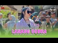 Download Lagu LANANG COBRA VOC. INDAH WATY | PUTRA PAI MUDA  SHOW BODAS - TUKDANA - INDRAMAYU