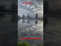 El remate de visalia ca