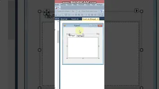 How to select a tab page in TabControl programmatically using VB Net