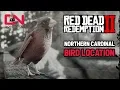Red Dead Redemption 2 - Northern Cardinal Bird Location