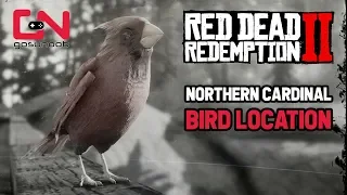 Red Dead Redemption 2 - Northern Cardinal Bird Location
