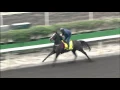 Download Lagu [HKIR 2015] Trackside Interview – E M Lynam  (Trainer of  SOLE POWER)