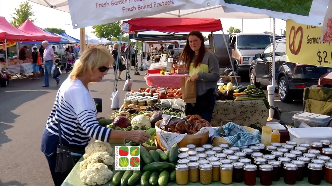 Virtual Neighborhood Tour of Maple Grove, MN