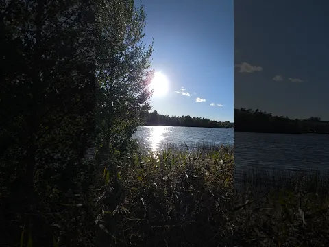 #Nature #Sweden