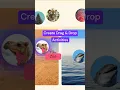 How to create drag-and-drop activities in Genially