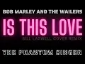 Download Lagu Is This Love - Bob Marley (Bill Laswell Cover Remix)