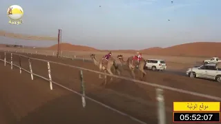 الشوط 5 الظبي لـ علي سالم بوداود الدرعي شارة الإتحاد الجمعة 2019 10 11 الرقيعات حول 