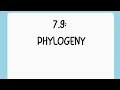 AP Bio Topic 7 9 TikTok Phylogeny