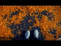 Download Lagu Cavetown - Let Me Feel Low (feat. Miloe)
