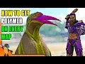 HOW TO GET POLYMER ON EVERY MAP Ark Beginners Guide To Polymer