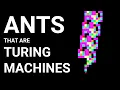 Ants that are Computers