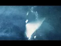 Lara Somogyi - 4nine - (Visualiser)
