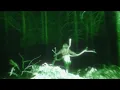Download Lagu Wisp - Once then we’ll be free (Official Visualizer)