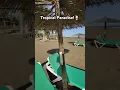 Download Lagu A Tropical Island Paradise Is Calling!🏝️🍹