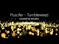 Puscifer - Tumbleweed (covered by koweku)