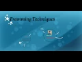 Bit Stuffing - Data Link Layer