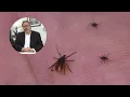 VCU doctor warns about extreme tick season in Virginia