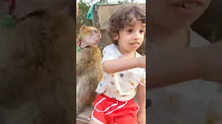 Nari Wrmadi Zar3i Whsadi ناري ورمادي زرعي و حصادي OMAR  Nari Wrmadi Zar3i Whsadi ناري ورمادي زرعي و حصادي OMAR