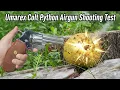 Umarex Colt Python 357 Magnum Accuracy Test Pomelo Penetration