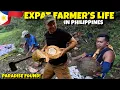 Lagu Philippines Homesteading And Farming, Harvesting Copra, Shopping 