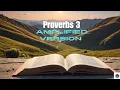 Proverbs 3 Prayer for Guidance and Wisdom Inspired by Proverbs 3 Amplified Version