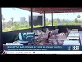 Don Woods Say When new rooftop bar and lounge opens at Rise Phoenix Hotel