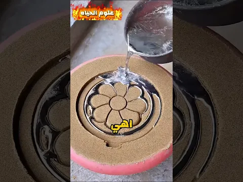 لما المصري يتجوز واحده مش جنسيته