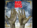 Mr. Big - Ten Japanese Edition 2024
