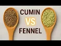 Cumin Seeds vs Fennel Seeds Which One is Better for Health
