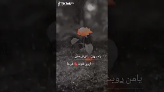 حالات واتس اب عن المطر مقاطع تيك توك قناة ملكة المشاعر 