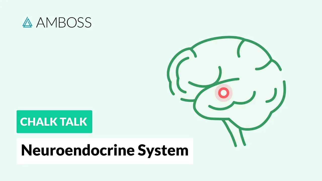 The Neuroendocrine System: Regulatory Processes
